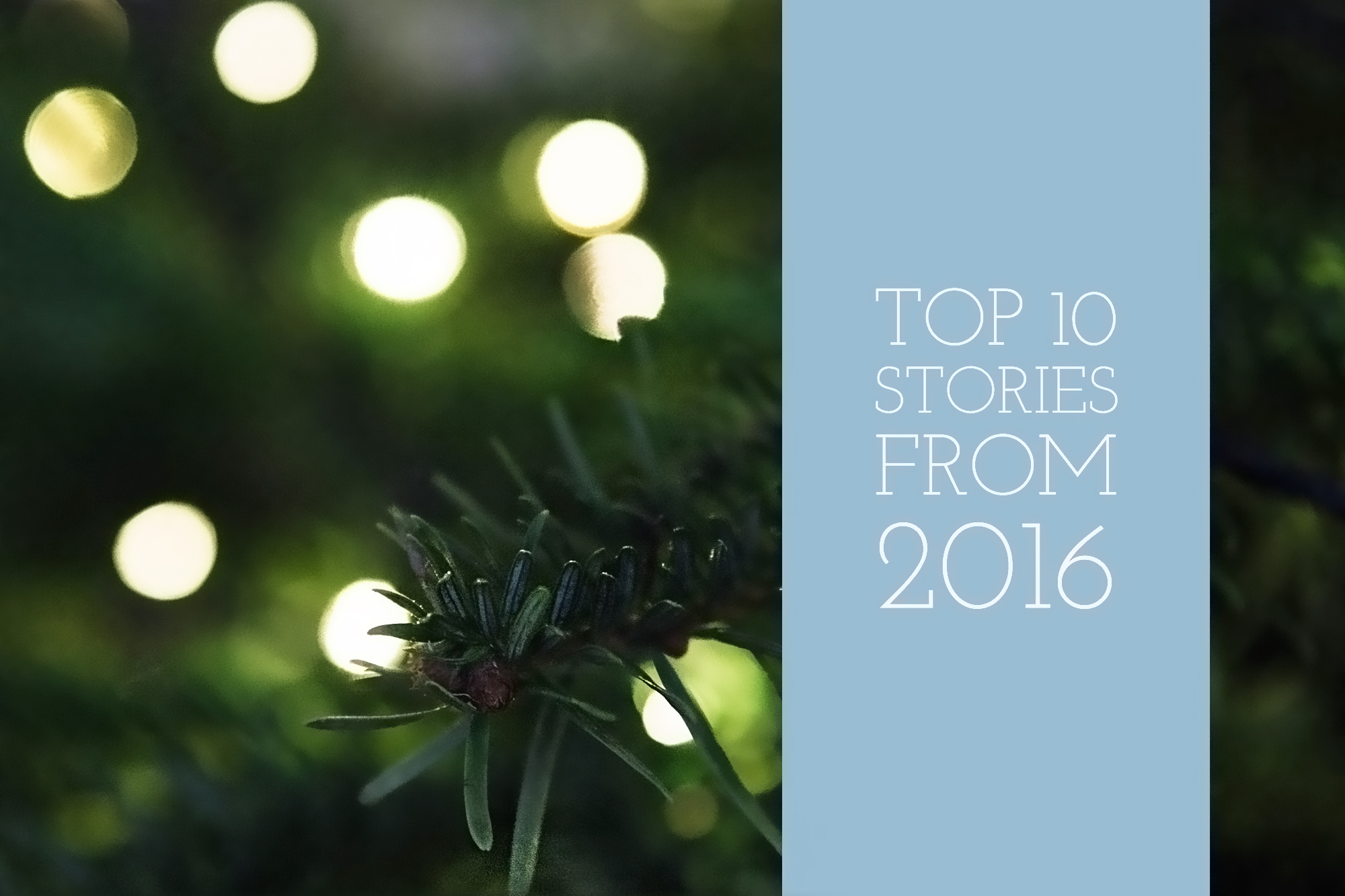 Top 10 stories of 2016
