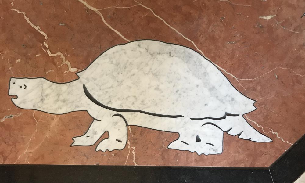 The Church Tells the Story of Our Catholic Faith 4