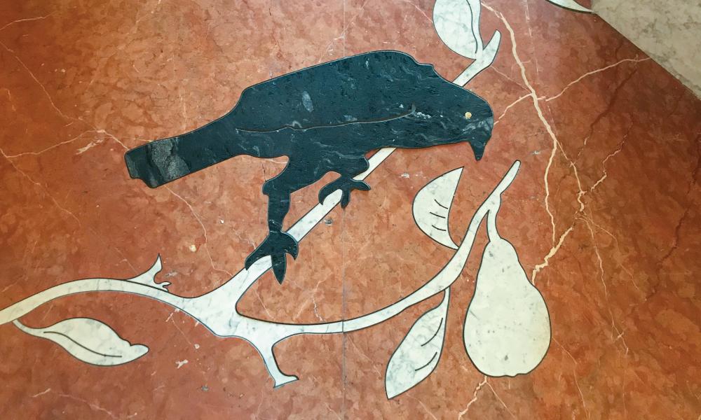 The Church Tells the Story of Our Catholic Faith 5