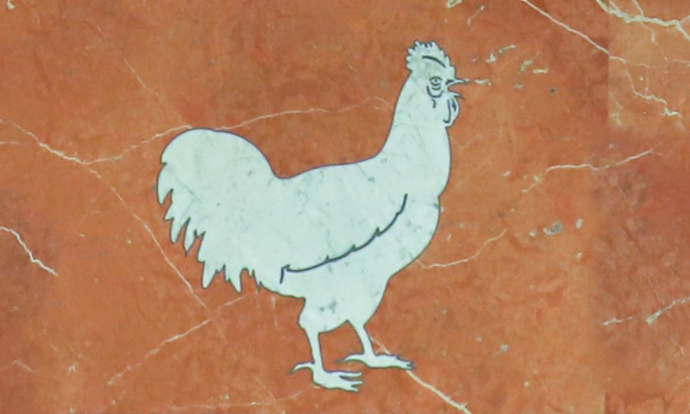 The Church Tells the Story of Our Catholic Faith 3