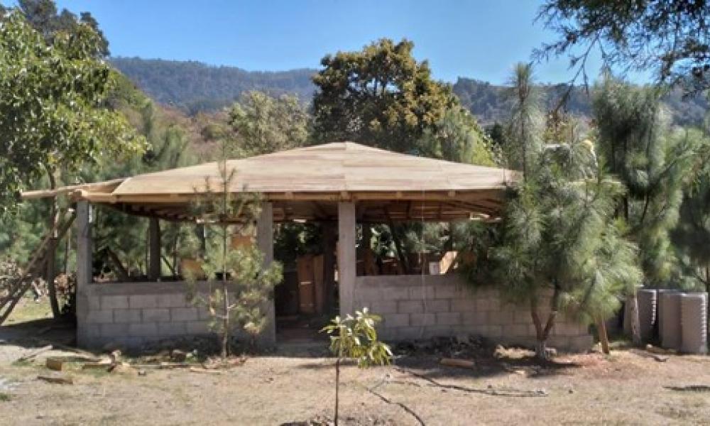 Guatemala Update