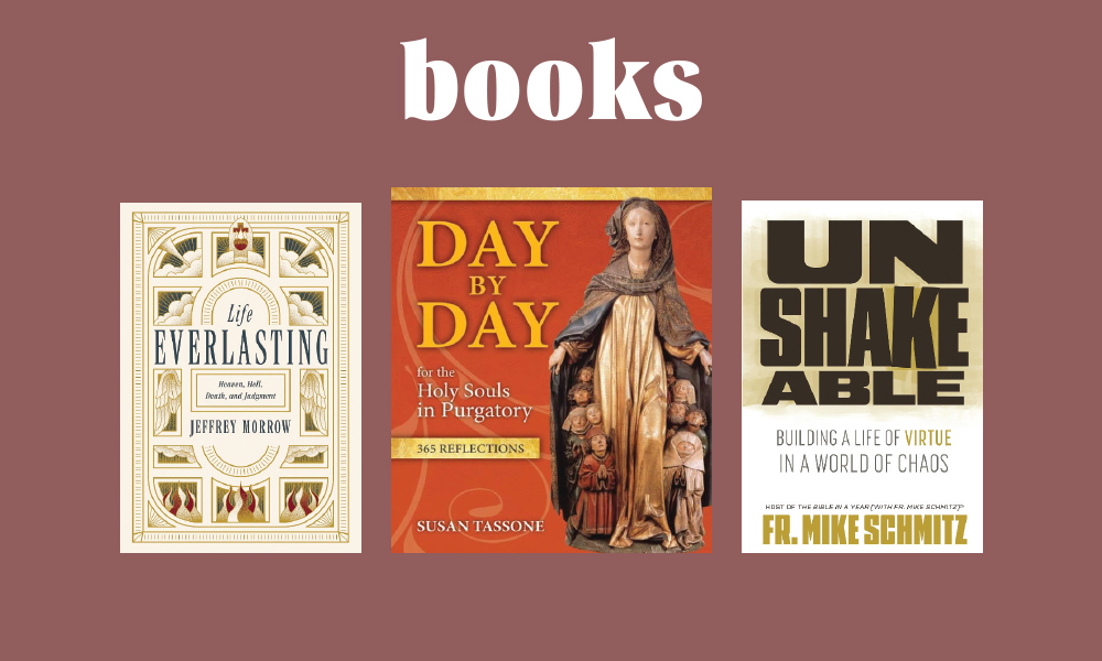 Book recommendations for November 2026