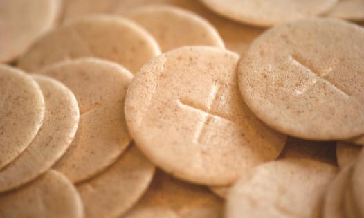 Eucharist – the source of forgiveness, healing and grace