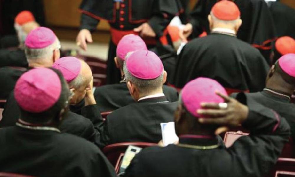 Pan- Synod. The Working Document for the Synod of Bishops