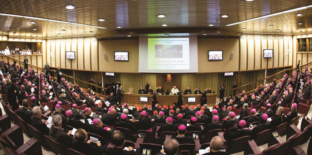 Follow up on the Synod Extraordinary Synod on the Family 2014 Final Relatio