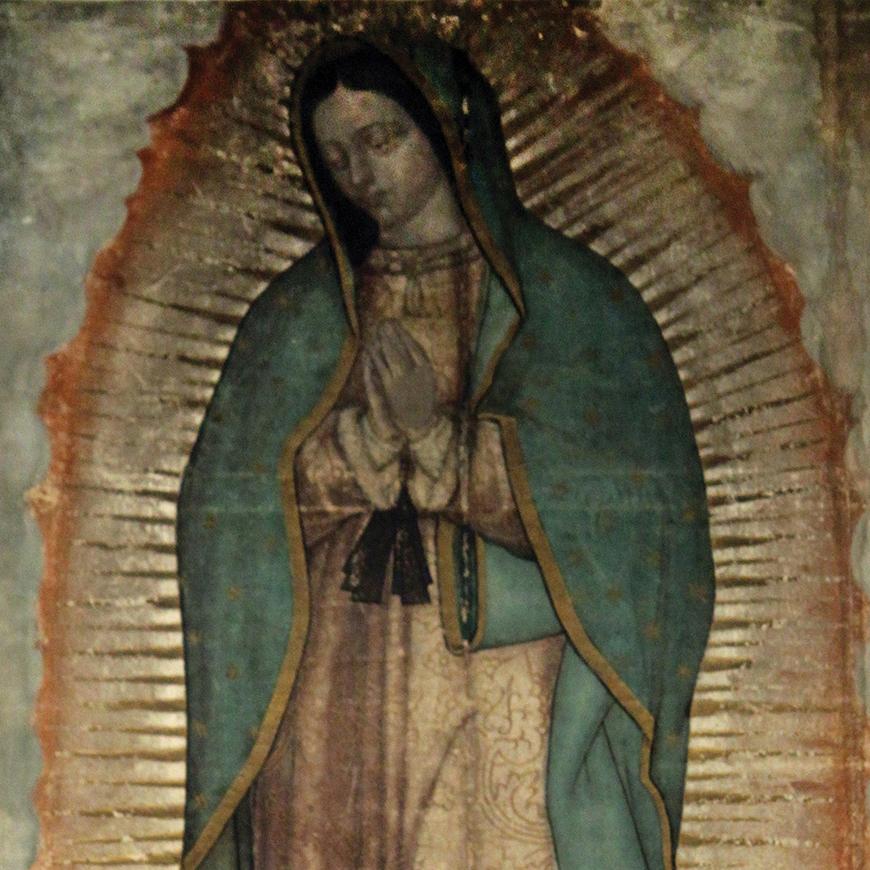 Special Report: Our Lady of Guadalupe